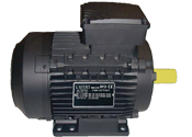 lafert north america motor